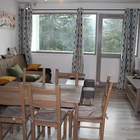 Bel Renove T2 Avec Balcon Au Pied Des Pistes - Fr-1-787-10 Laveissière