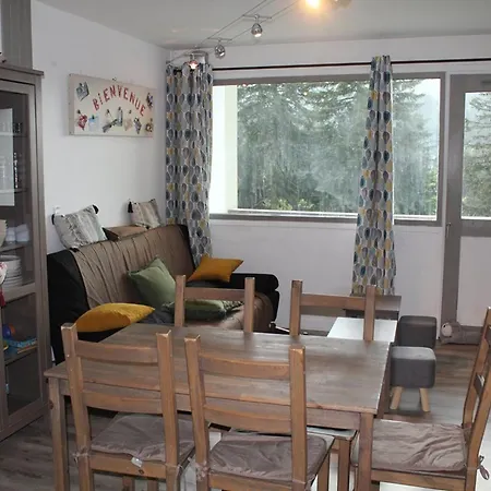 Bel Renove T2 Avec Balcon Au Pied Des Pistes - Fr-1-787-10 * Laveissière