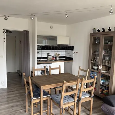 Bel Renove T2 Avec Balcon Au Pied Des Pistes - Fr-1-787-10 Laveissière