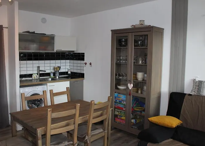 Bel Renove T2 Avec Balcon Au Pied Des Pistes - Fr-1-787-10 * Laveissiere