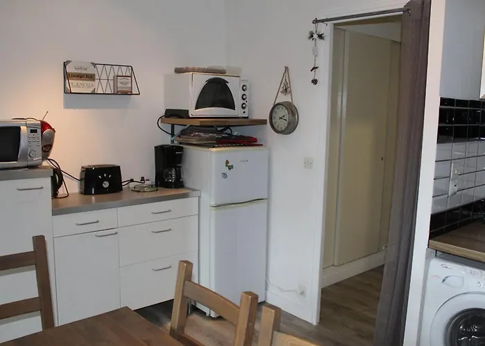 Bel Renove T2 Avec Balcon Au Pied Des Pistes - Fr-1-787-10 Apartment Laveissiere