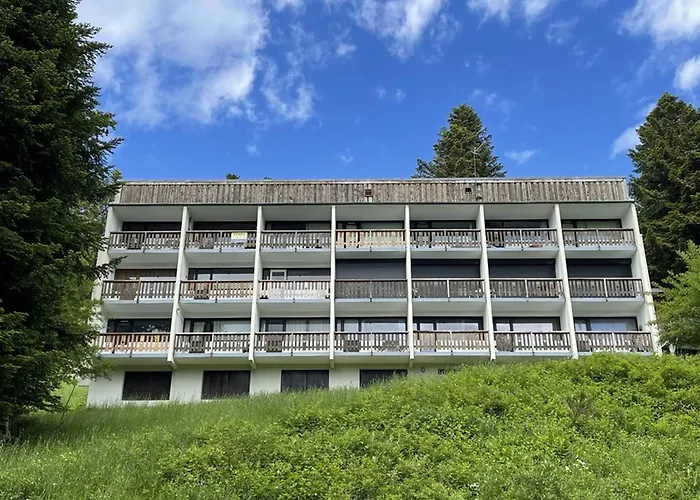 Bel Renove T2 Avec Balcon Au Pied Des Pistes - Fr-1-787-10